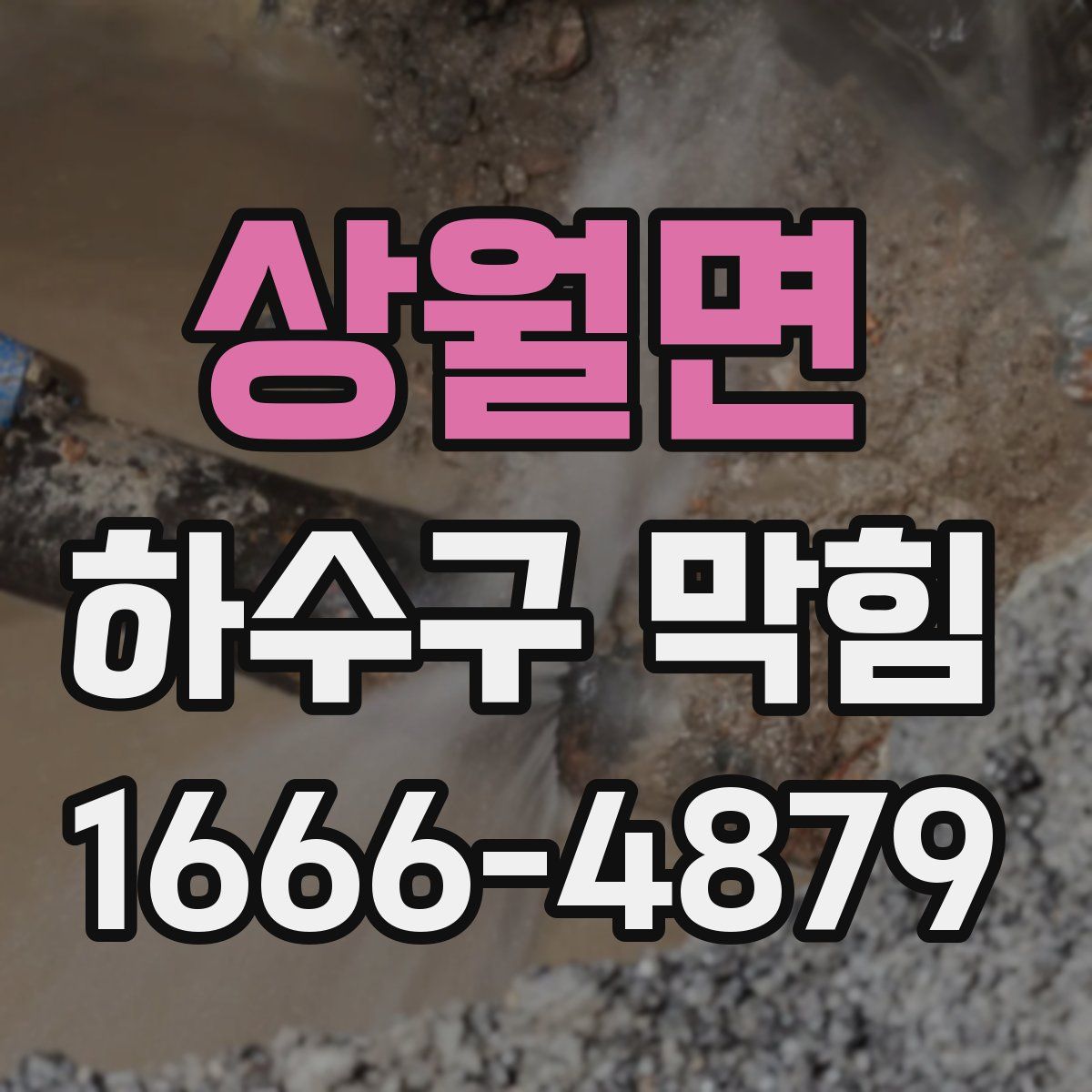 상월면 하수구 막힘