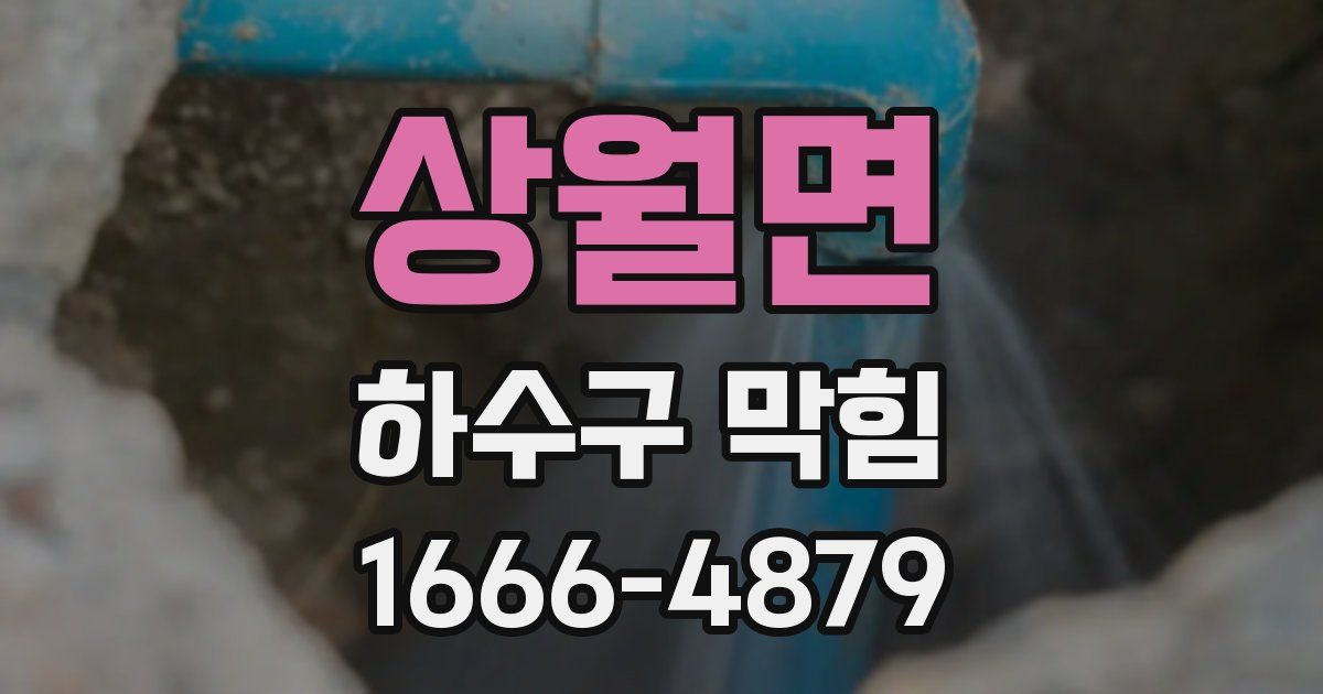 상월면 하수구 막힘