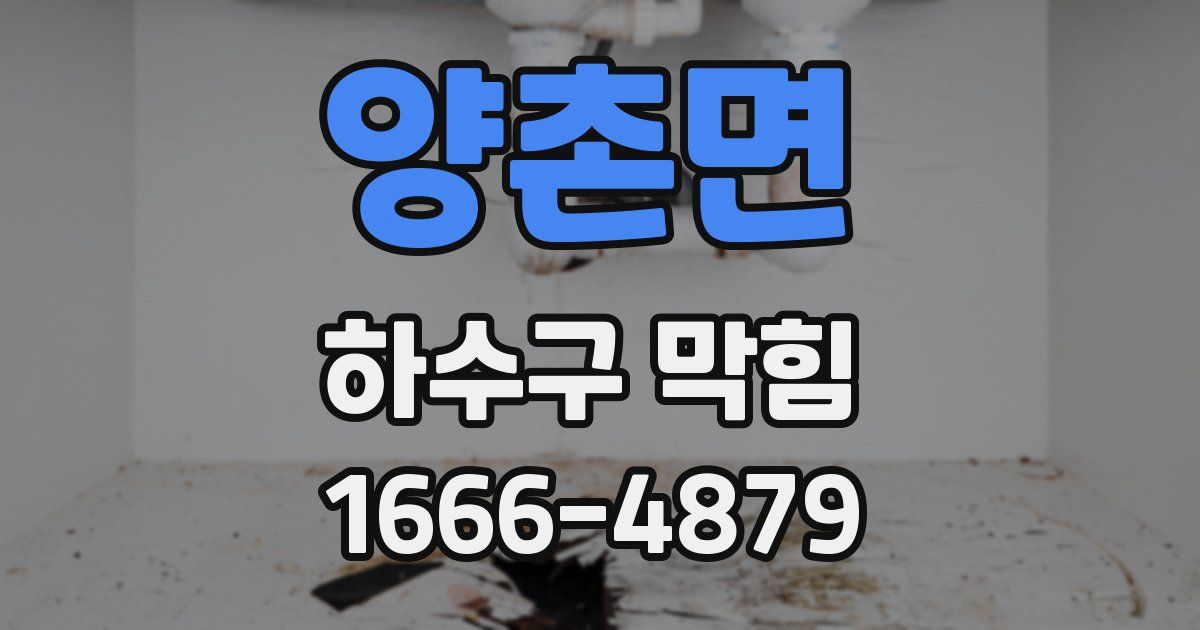 양촌면 하수구 막힘