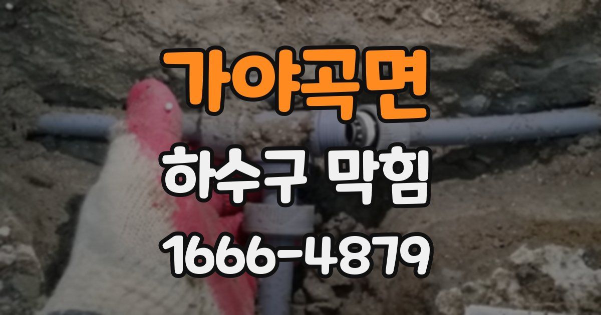 가야곡면 하수구 막힘