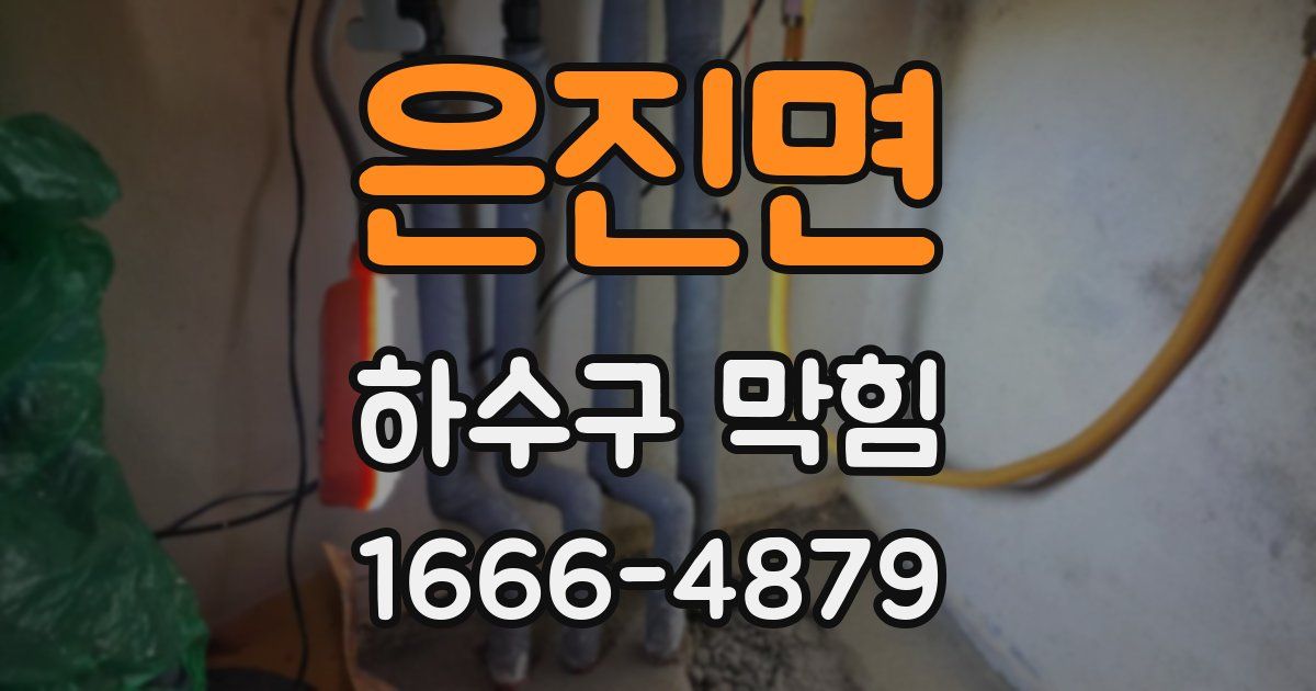 은진면 하수구 막힘