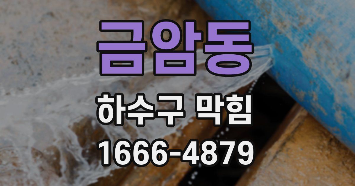 금암동 하수구 막힘