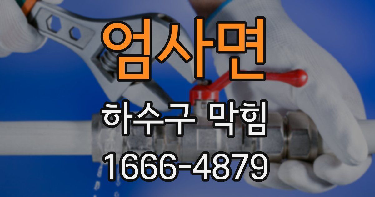 엄사면 하수구 막힘