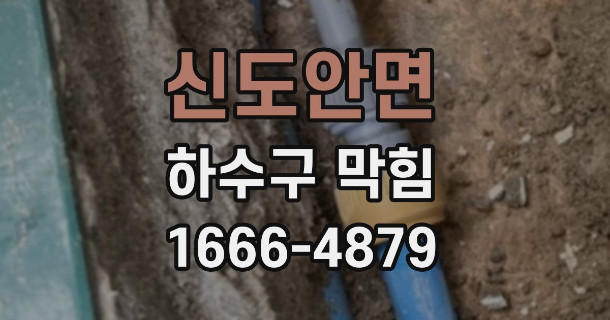 신도안면 하수구 막힘