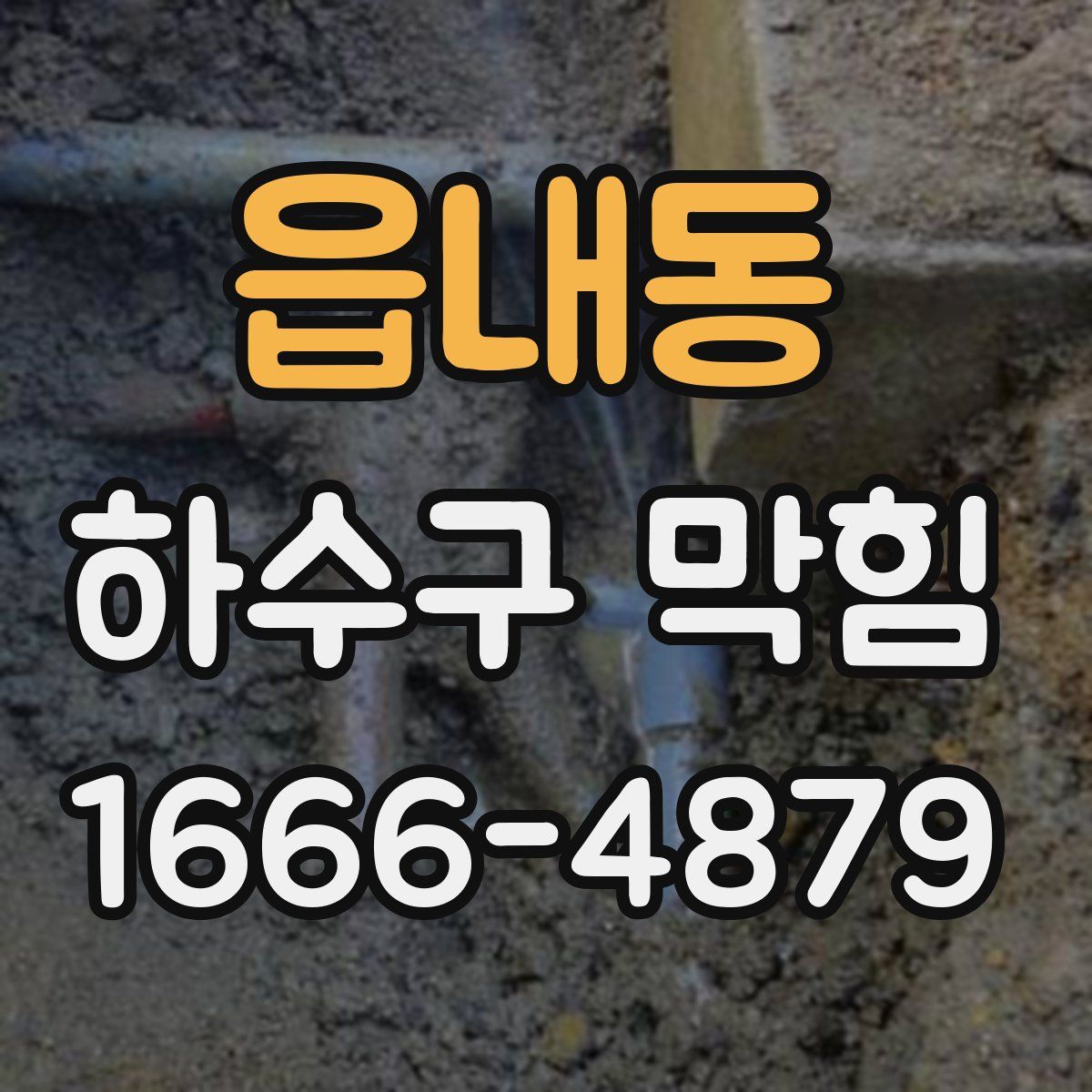 읍내동 하수구 막힘