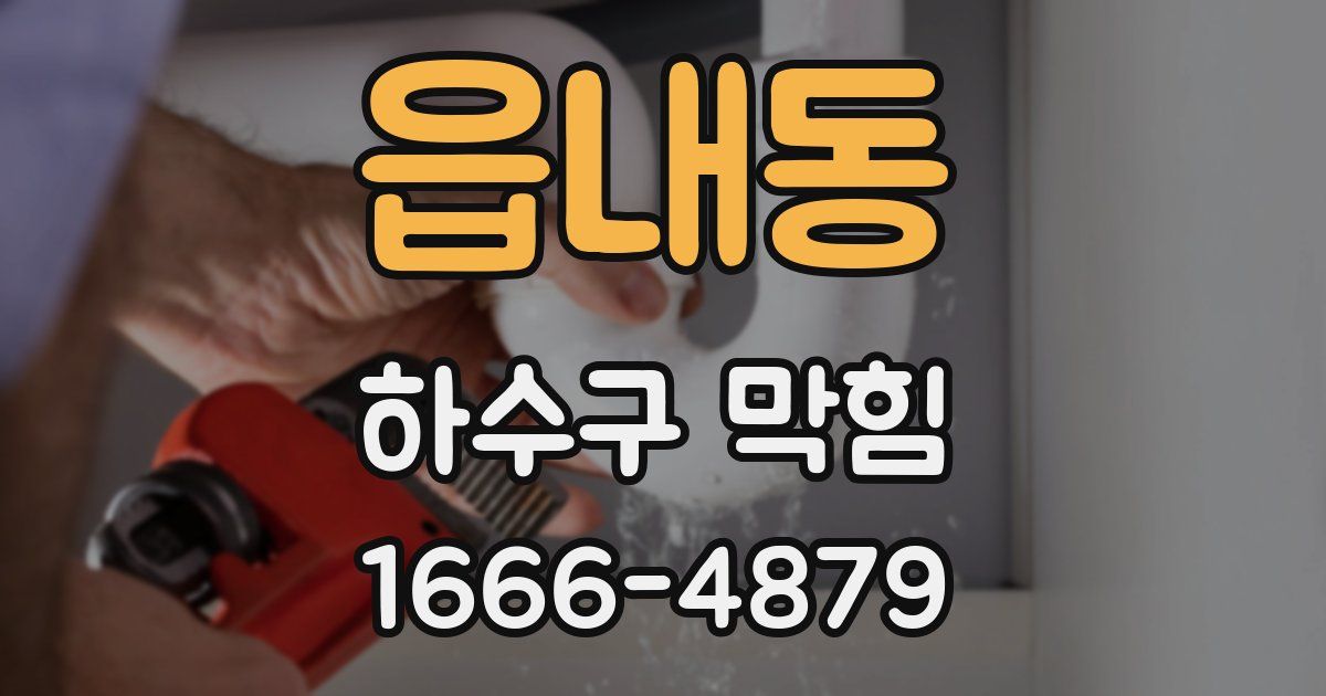 읍내동 하수구 막힘
