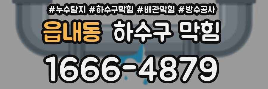 읍내동 하수구 막힘