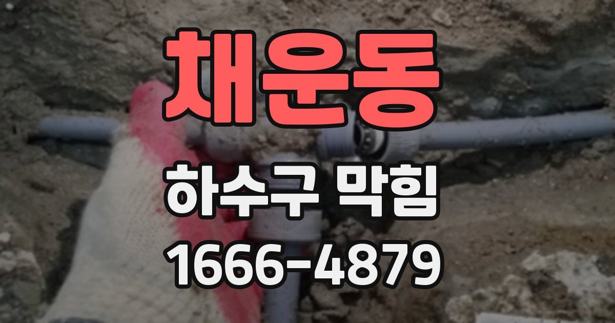 채운동 하수구 막힘