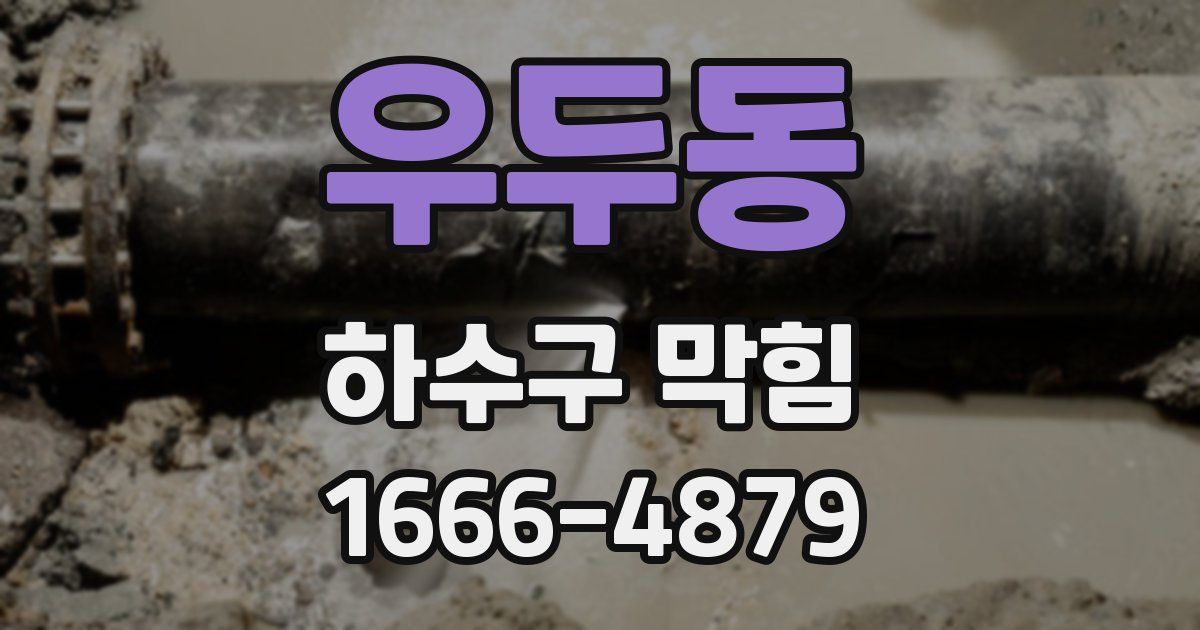 우두동 하수구 막힘