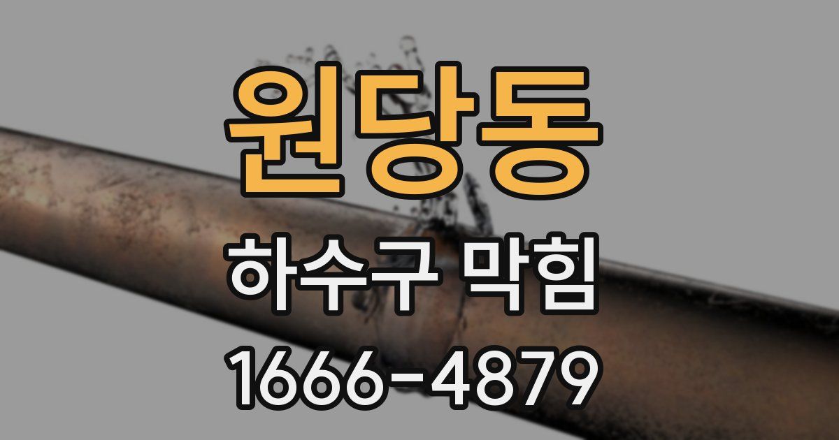 원당동 하수구 막힘