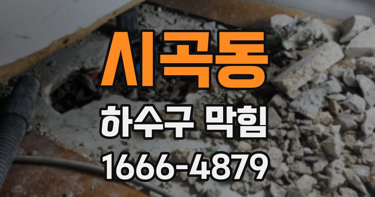 시곡동 하수구 막힘