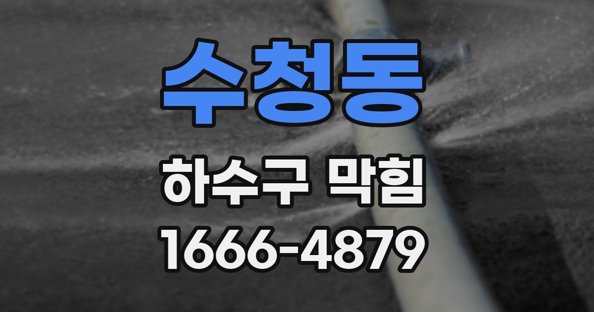 수청동 하수구 막힘