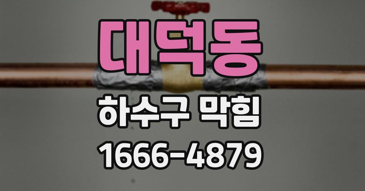 대덕동 하수구 막힘
