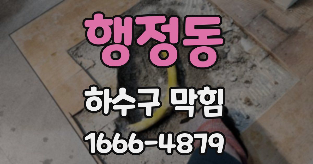 행정동 하수구 막힘