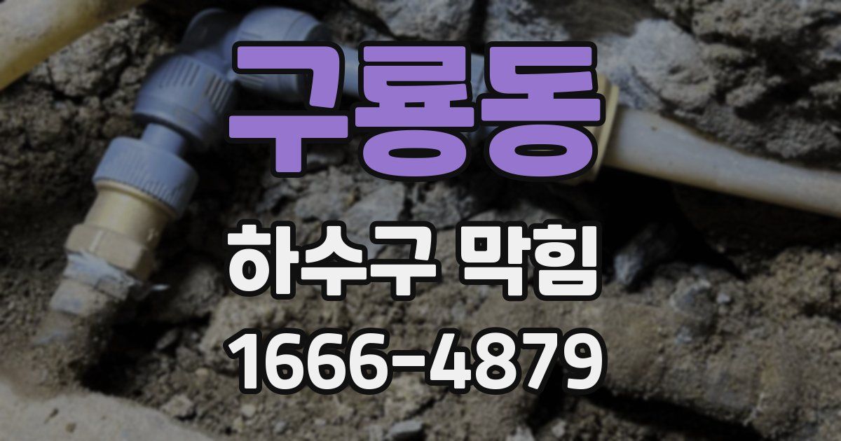 구룡동 하수구 막힘