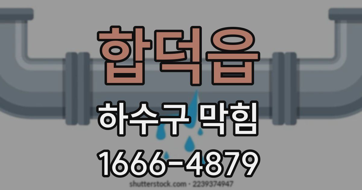합덕읍 하수구 막힘