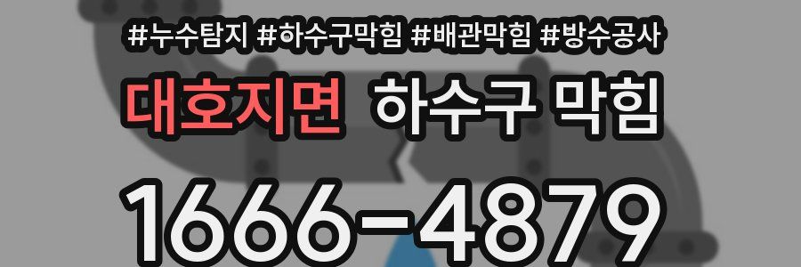 대호지면 하수구 막힘