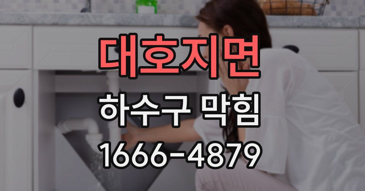 대호지면 하수구 막힘