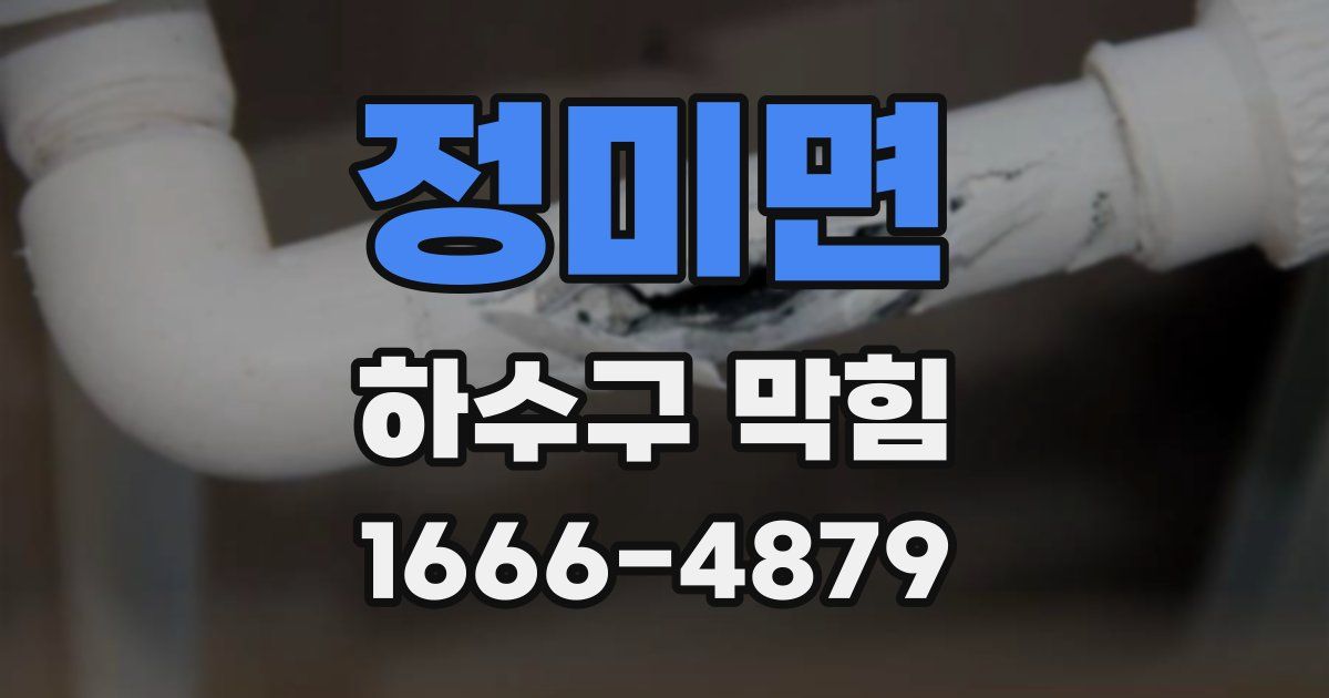 정미면 하수구 막힘