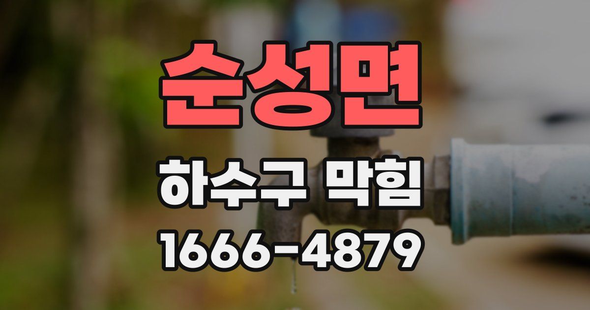 순성면 하수구 막힘