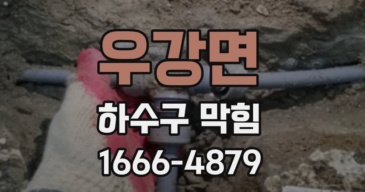 우강면 하수구 막힘