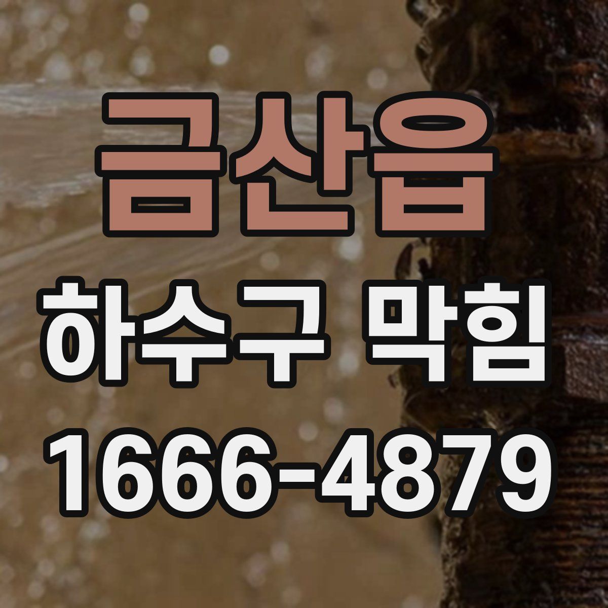 금산읍 하수구 막힘
