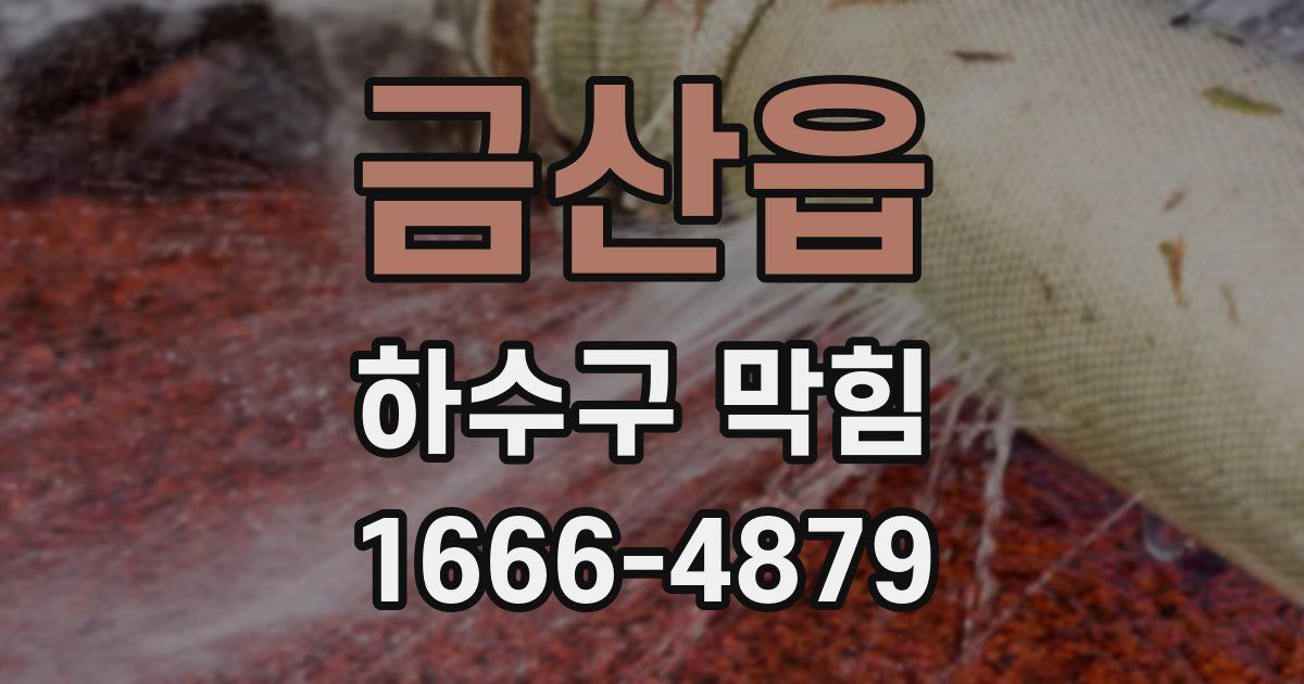 금산읍 하수구 막힘