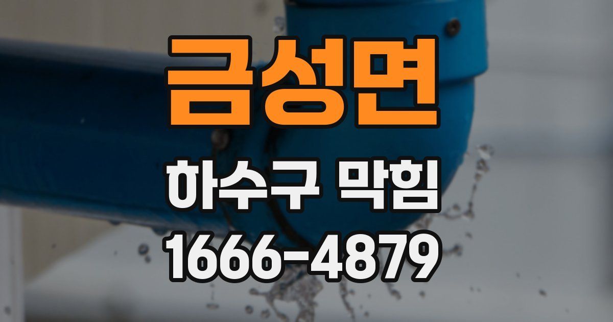 금성면 하수구 막힘
