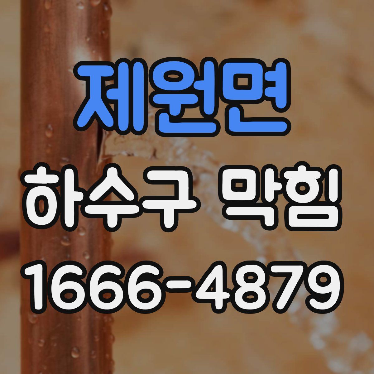 제원면 하수구 막힘