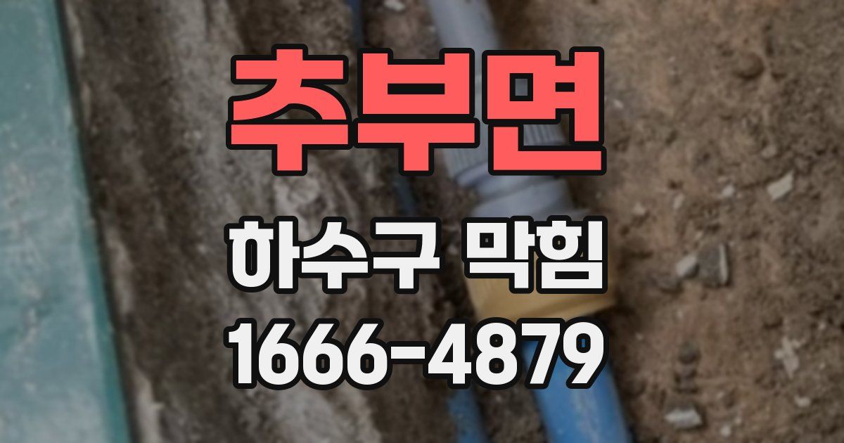 추부면 하수구 막힘