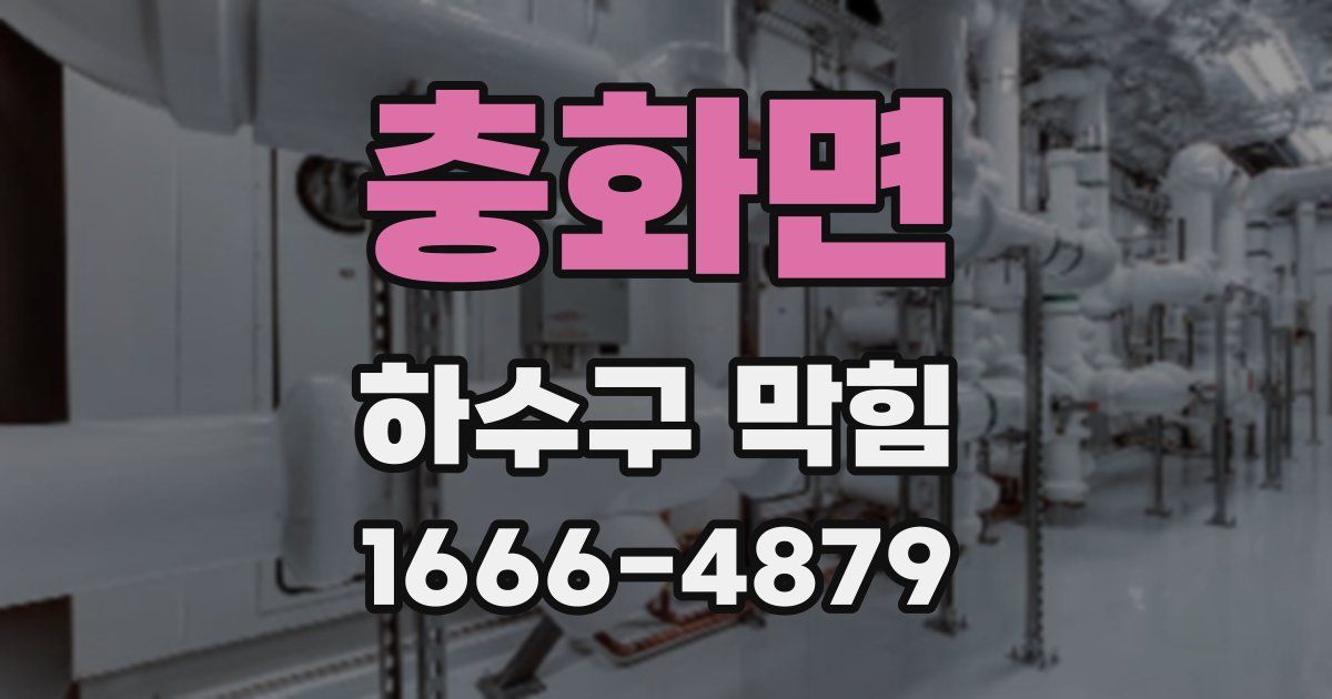 충화면 하수구 막힘