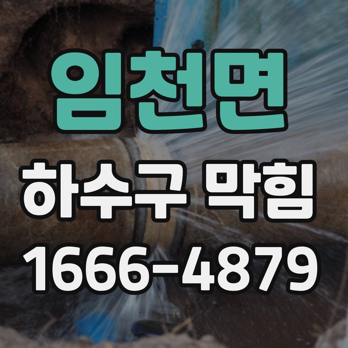 임천면 하수구 막힘