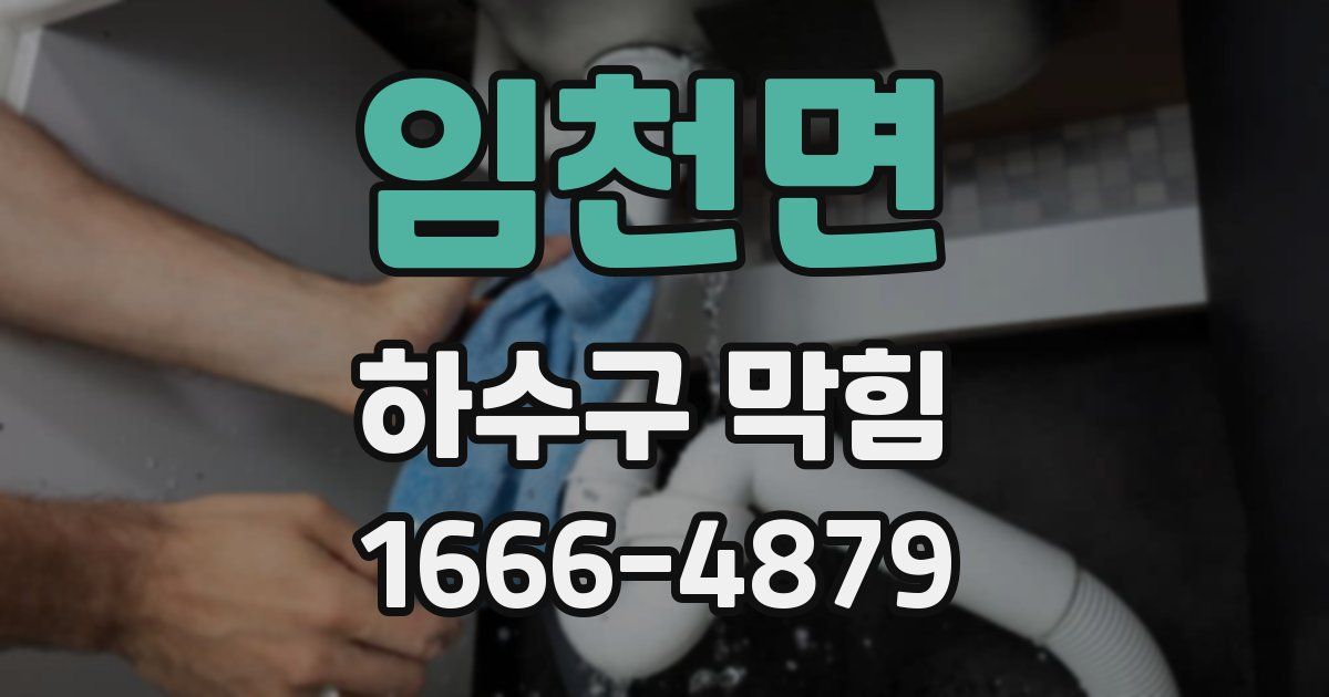 임천면 하수구 막힘