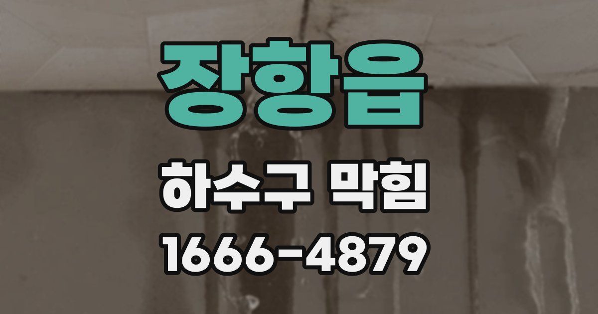 장항읍 하수구 막힘