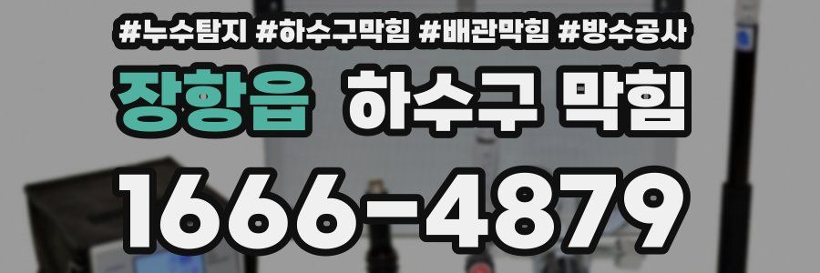 장항읍 하수구 막힘