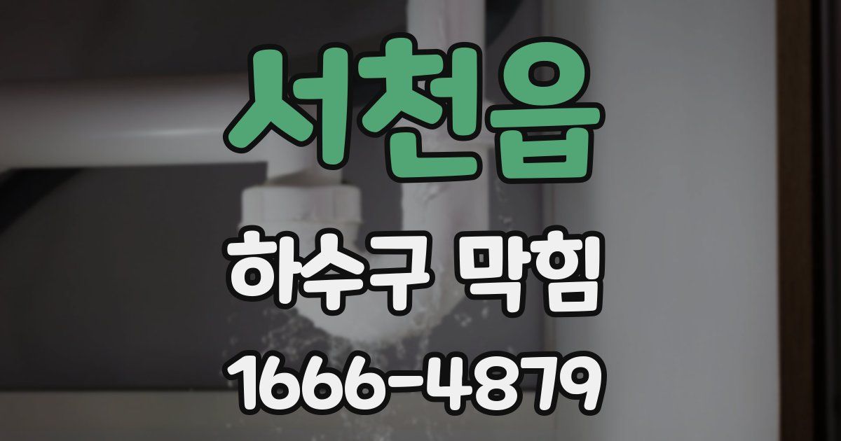 서천읍 하수구 막힘