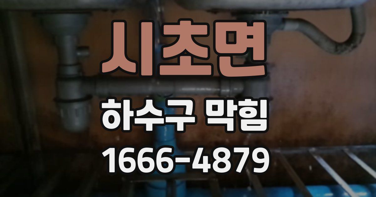 시초면 하수구 막힘