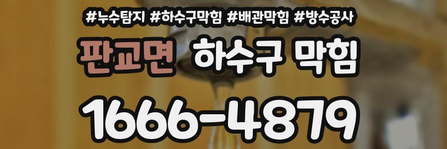 판교면 하수구 막힘