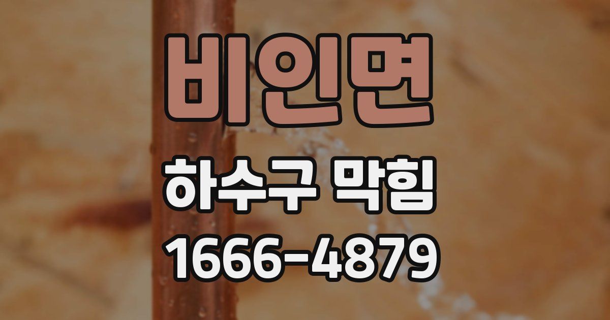 비인면 하수구 막힘
