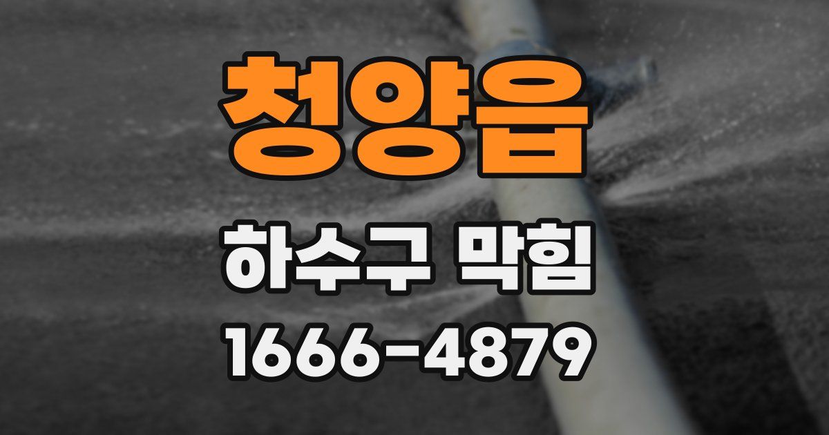 청양읍 하수구 막힘