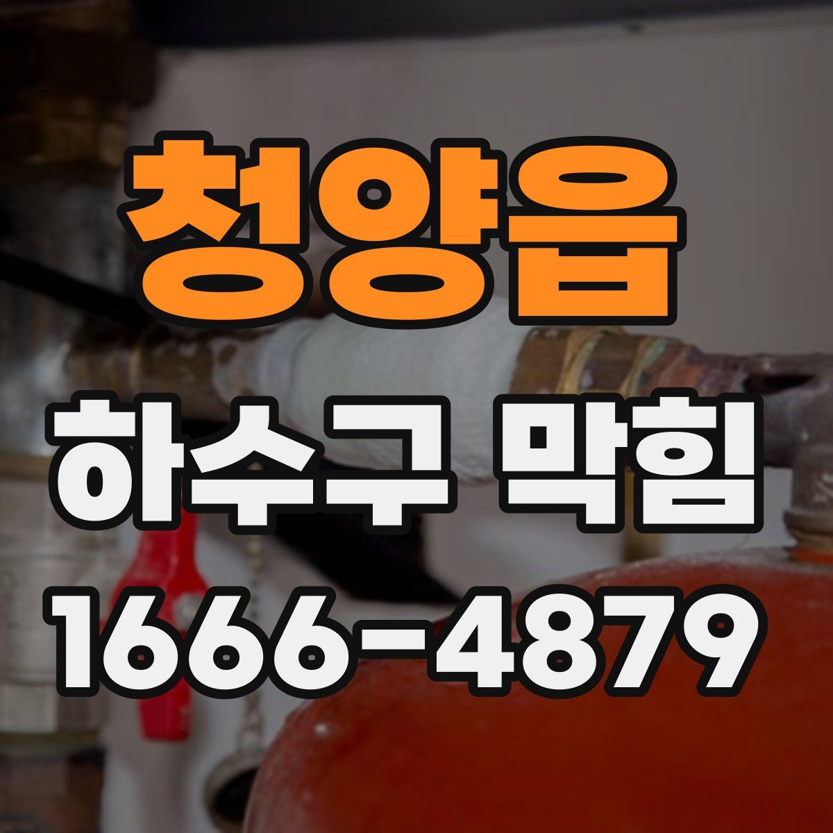 청양읍 하수구 막힘