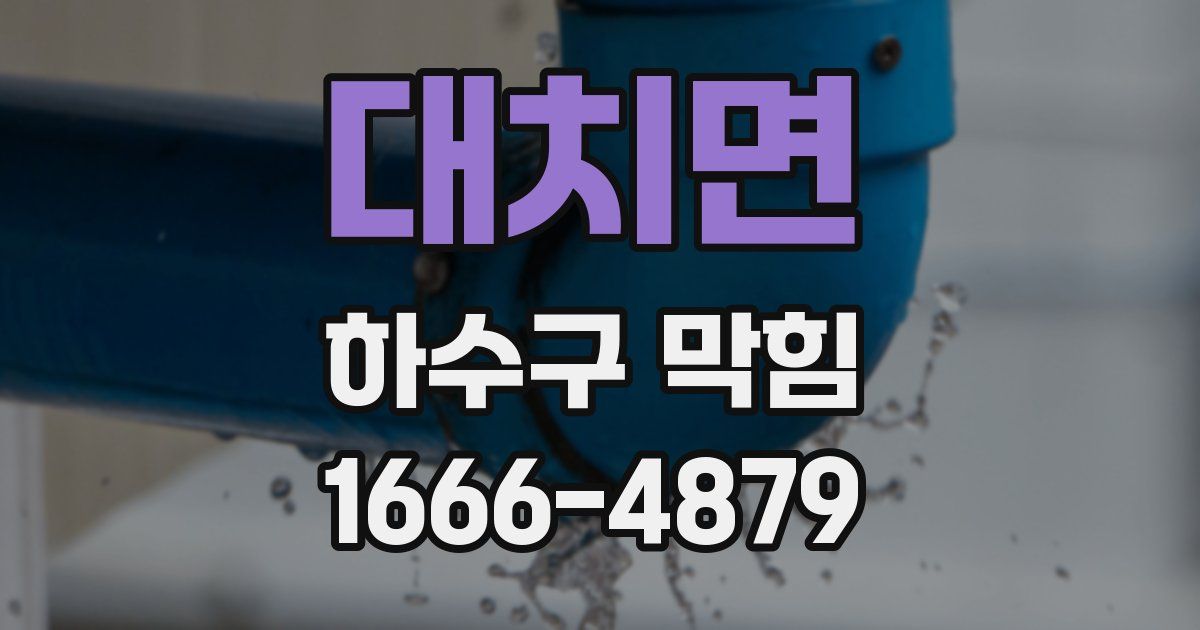 대치면 하수구 막힘