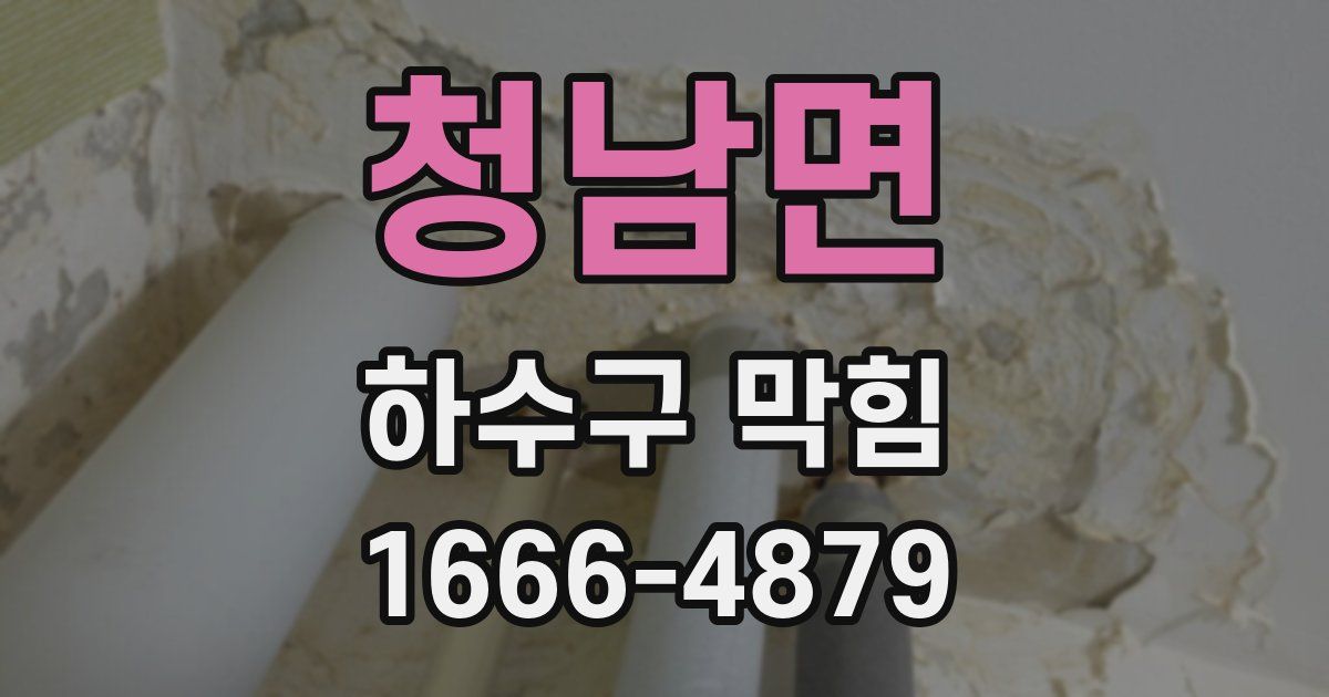 청남면 하수구 막힘