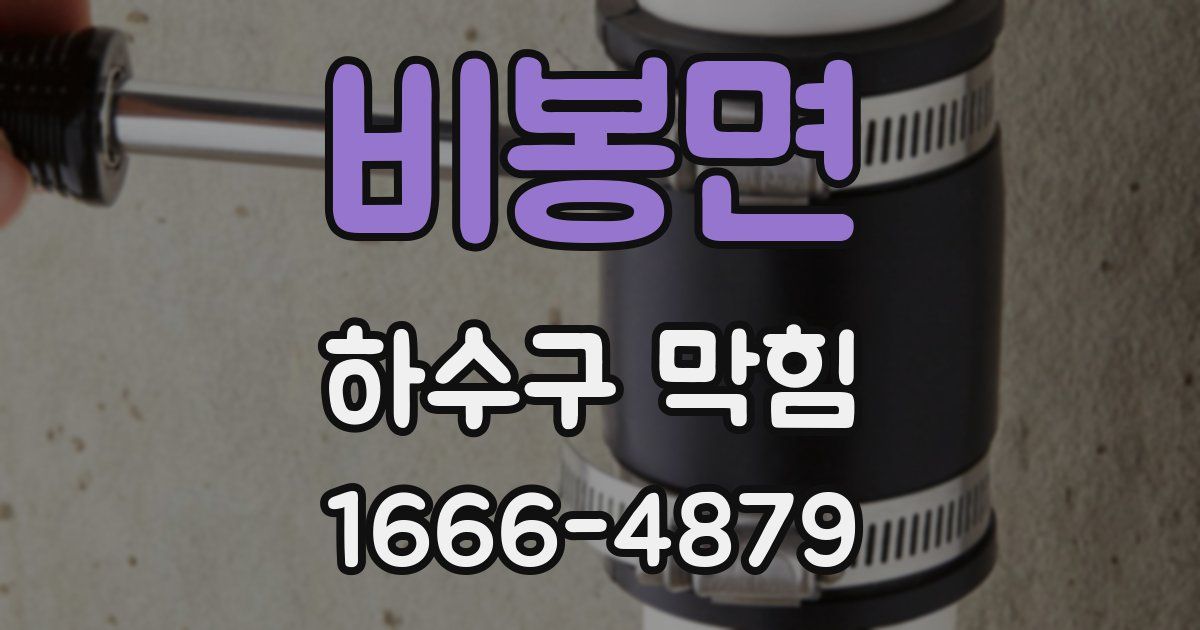 비봉면 하수구 막힘