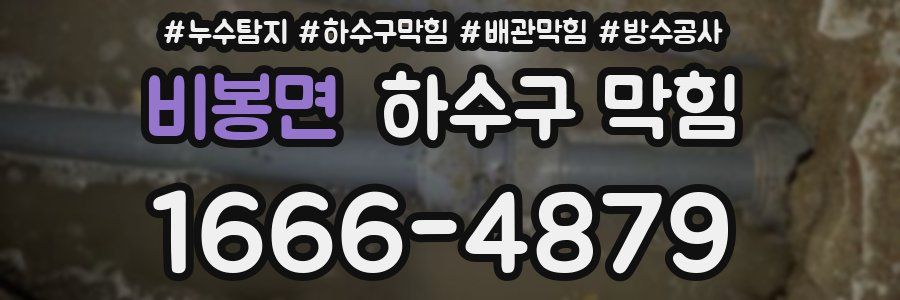 비봉면 하수구 막힘
