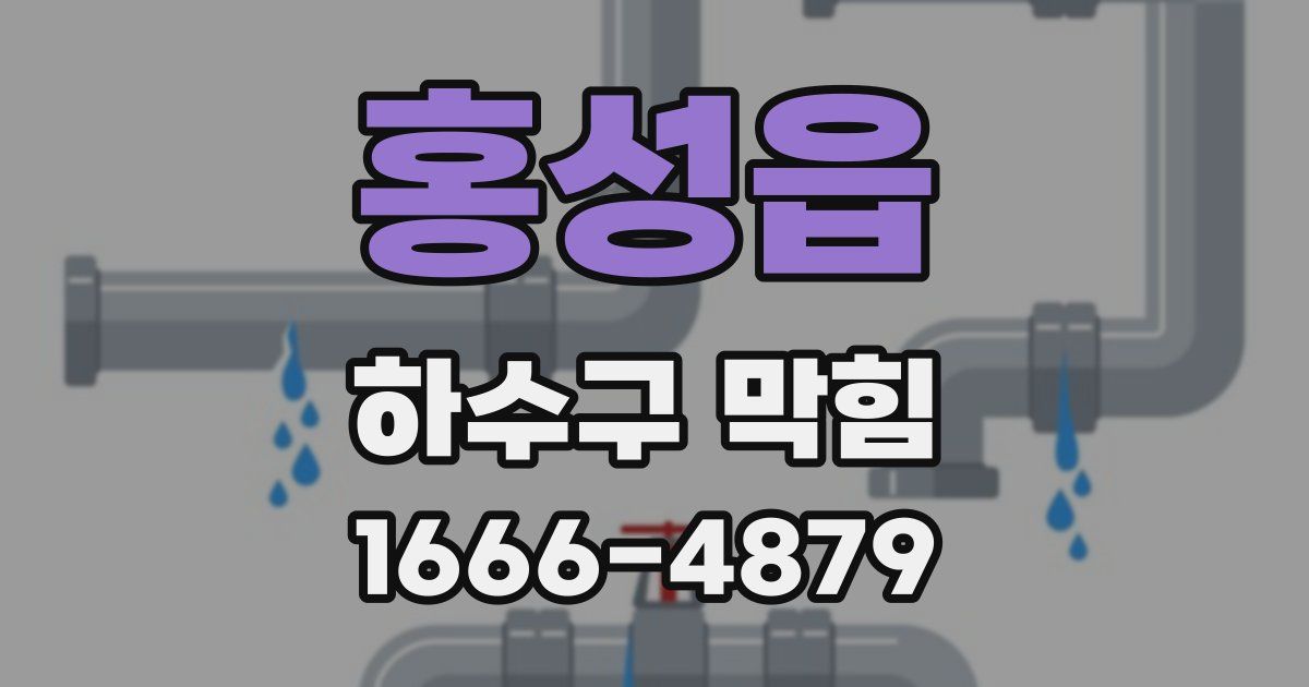 홍성읍 하수구 막힘