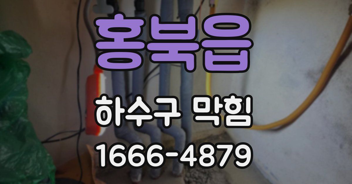 홍북읍 하수구 막힘