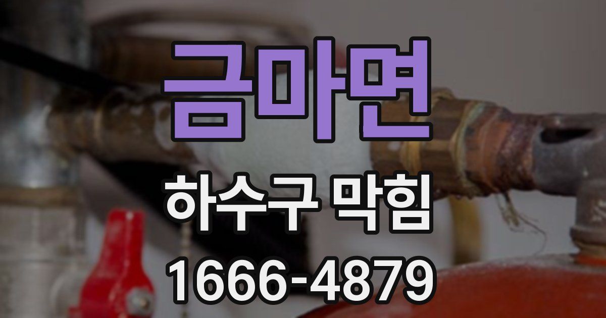 금마면 하수구 막힘