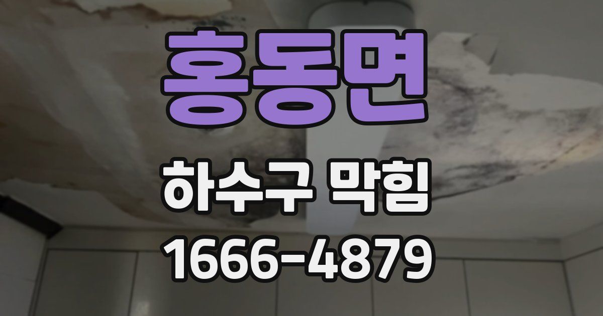 홍동면 하수구 막힘