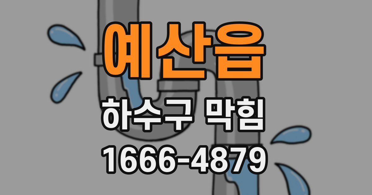 예산읍 하수구 막힘